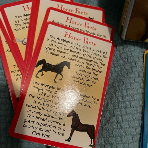 Hooray for Horses Card Game - Picture 2 of 9